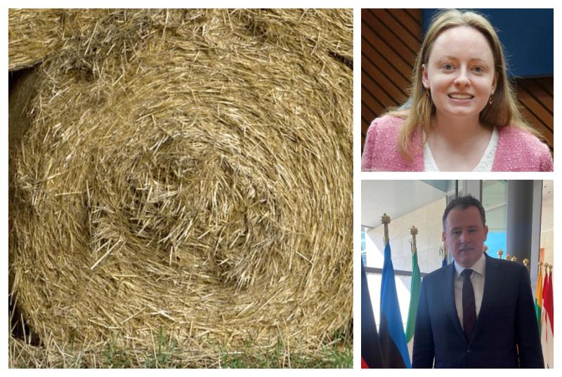 Straw  call 'damaged' relationships with farmer says Laois representative 