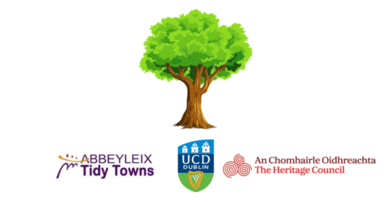 Abbeyleix Tidy Towns announce new project with UCD
