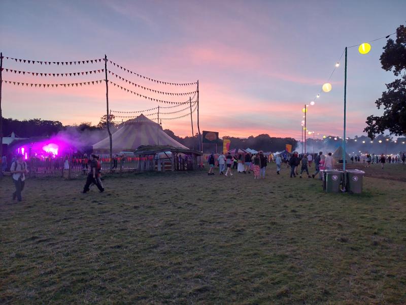 Single use vapes to be confiscated at Electric Picnic in Laois