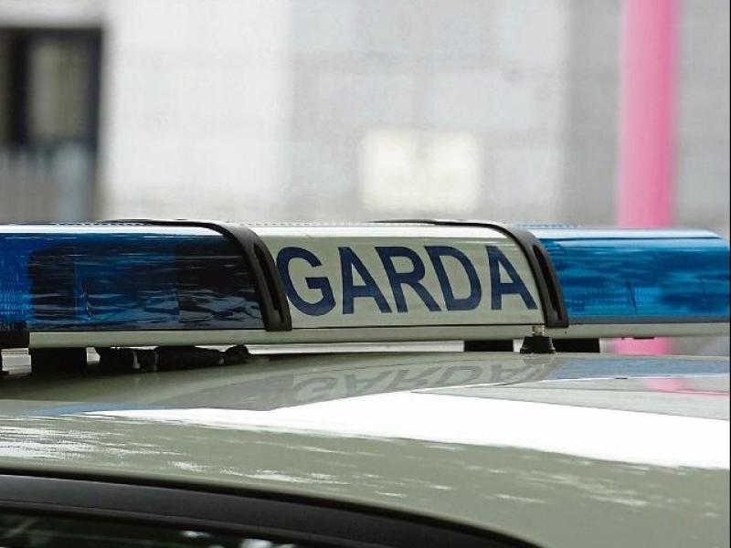 Two men to appear in court following serious assault in Co Cork