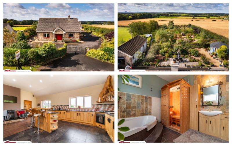 PICTURES: Beautiful Laois home with sauna and landscaped gardens 