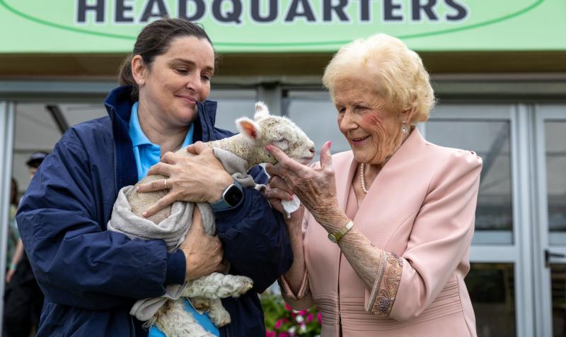 'She breaks all the rules on retiring' Queen of the plough Anna May McHugh still at the helm