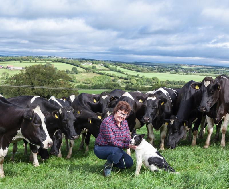 Giving rural Ireland 'the Bridget Jones treatment': Laois author and farmer Lorna Sixsmith talks about her debut novel