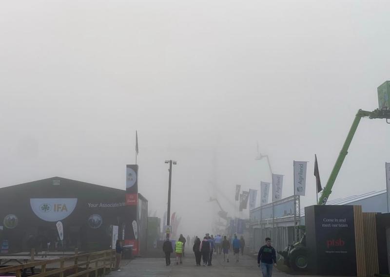 Motorists travelling to Laois for final day of Ploughing urged to take care in fog 