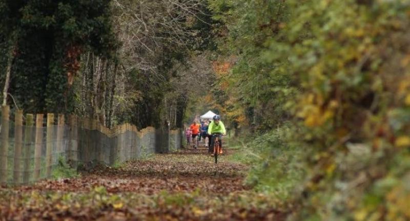 Bord na Móna lifting old bog rail tracks in Laois but  'open and supportive' of greenways
