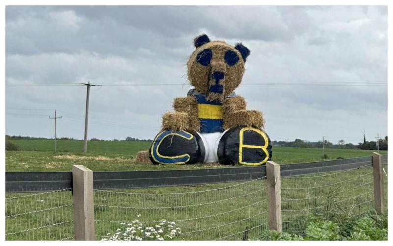 WATCH: Laois GAA County Final fever hits Clough-Ballacolla ahead of Rathdowney-Errill showdown
