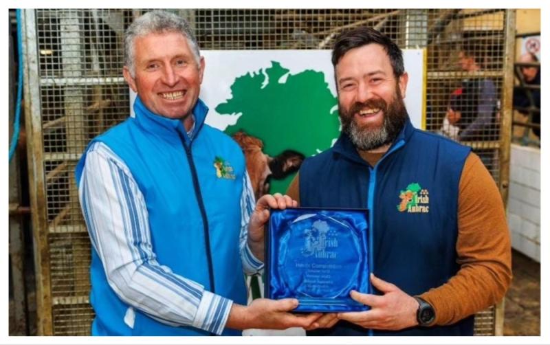 Laois farmers to host farm open day to learn more about Aubrac cattle