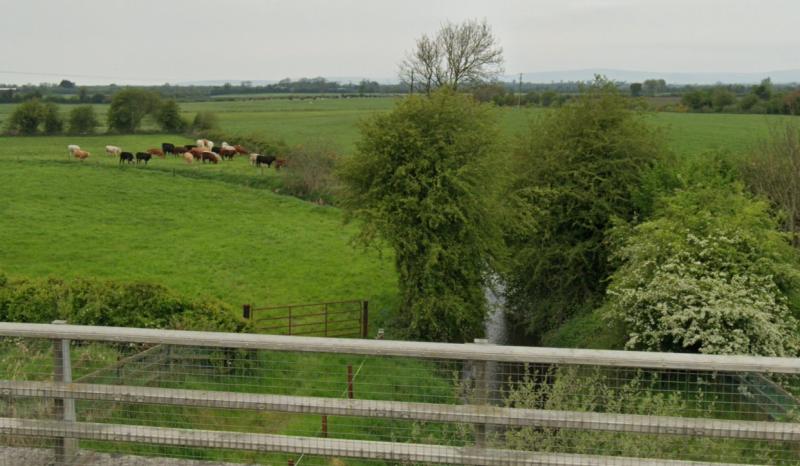 River cleaning rota to be drawn up by Laois County Council 