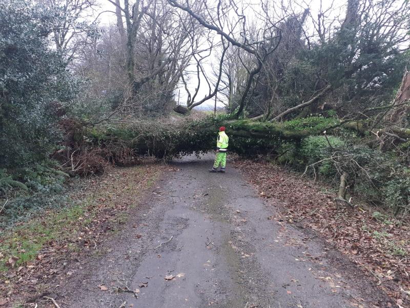 Laois council on alert for Storm Ashley hit