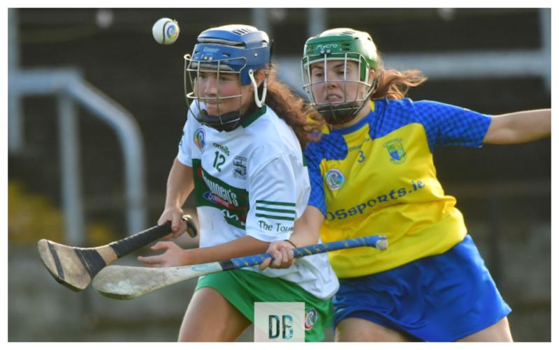 Delaney leads the way as Portlaoise crowned Junior Camogie champions