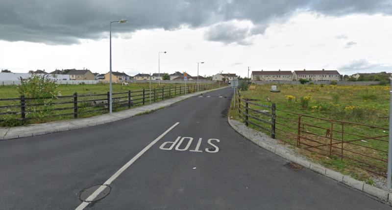 Laois County Council to borrow €1.25m to buy housing land in Portlaoise and Mountmellick