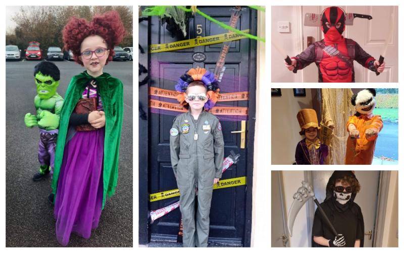 Laois loses out on Fáilte Ireland's Halloween festival money