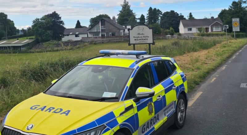 Arrests and 44 charges after rural Laois Garda station cracks down on road crime
