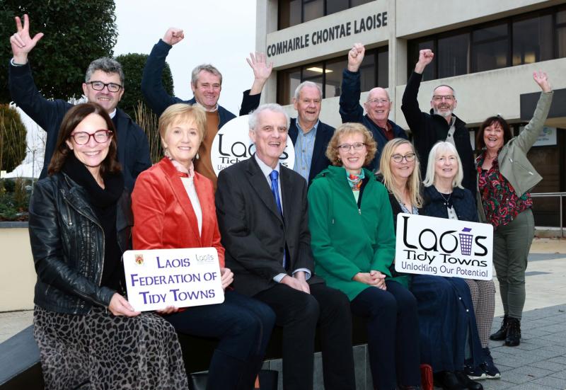 tidy towns laois