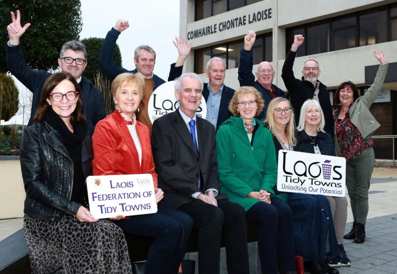 laois county council
