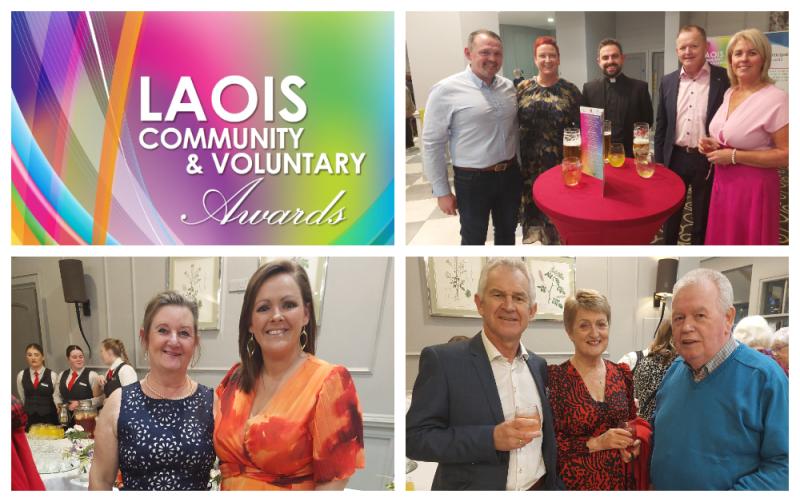 PICTURES: Glamorous guests arrive at Laois Community and Voluntary Awards 