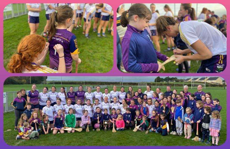 IN PICTURES: Laois camogie club hold meet and greet ahead of Leinster club final
