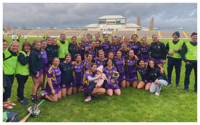 'They're just an unbelievable bunch'- St Brigid's manager Brian Bowe on his side winning Leinster