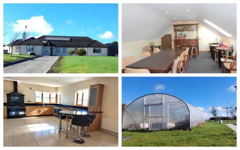 PROPERTY: Five-bed Laois home with bar, games room and greenhouse 