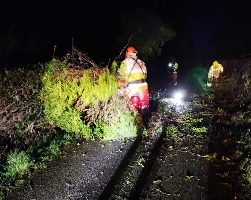 STORM DARRAGH: Laois County Council issues update 