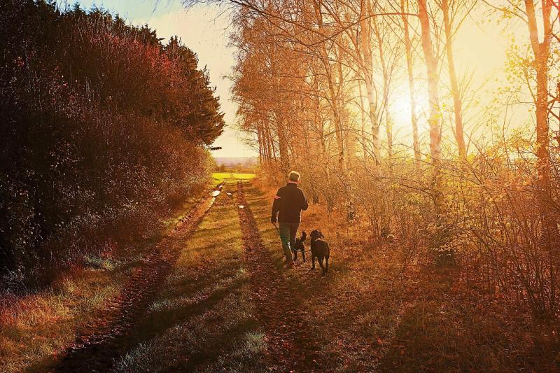 10 simple ways to beat the gloom this January