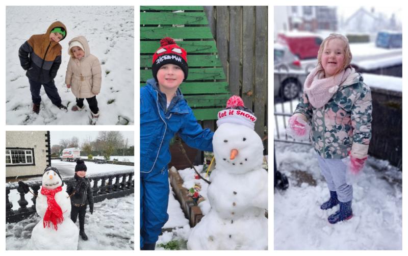 IN PICTURES: Laois' snowmen, snowwomen and even snow dogs 