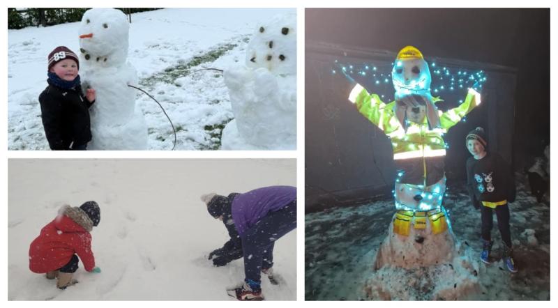 PICTURES: Laois families make best of cold snap by having fun in snow