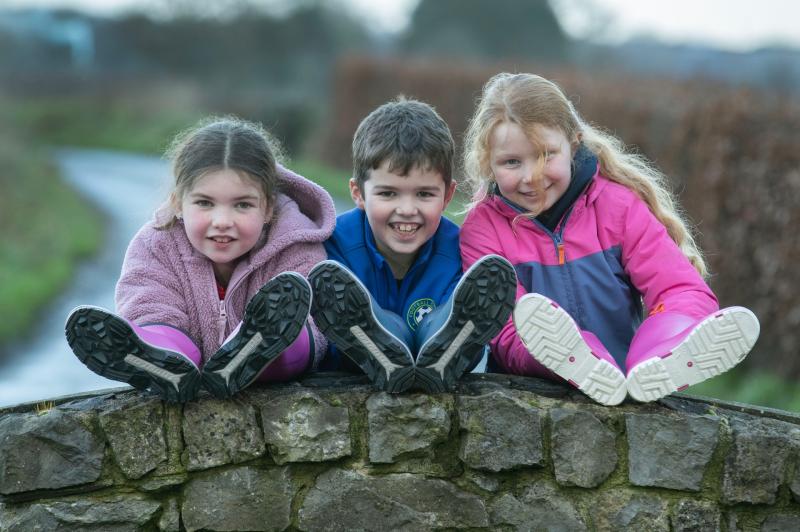 Wear your wellies in support of Laois farm accident charity