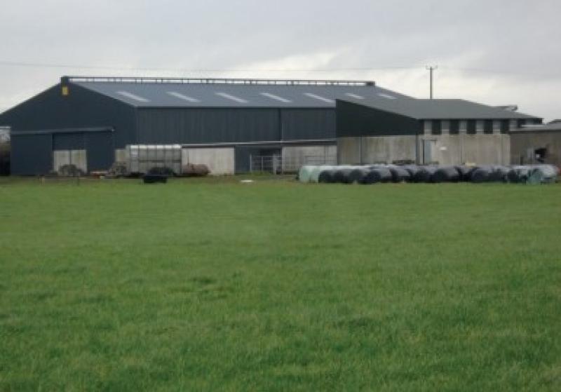 Lease of Laois dairy farm to come before public auction 