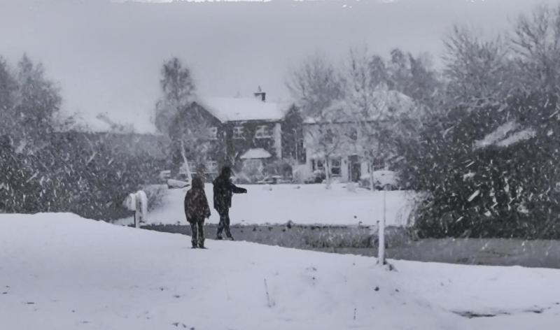 Eight Laois housing estates to receive salt bins in future snow events