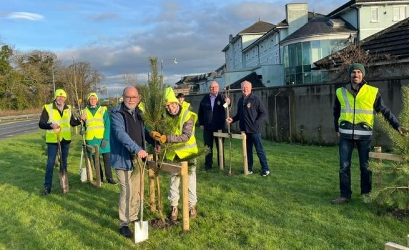 Portlaoise Lions growing green walls with Tidy Towns volunteers