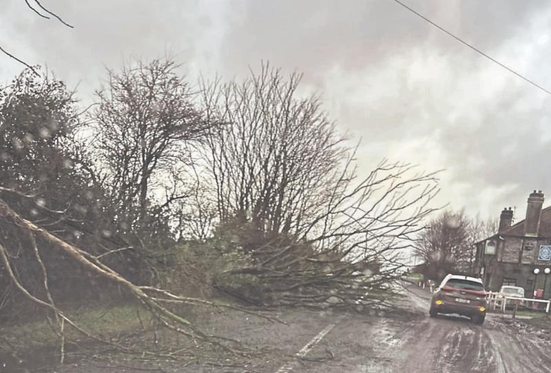 Breaking: Severe weather warning issued for Laois ahead of Storm &Eacute;owyn