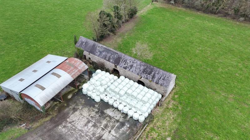 Property: Stone house on two acres offers unique redevelopment project in Laois town 