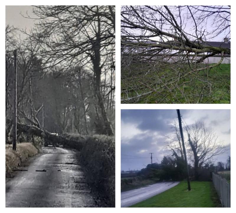 Storm Éowyn clean up commences in Laois as parts of N80 remain impassable 