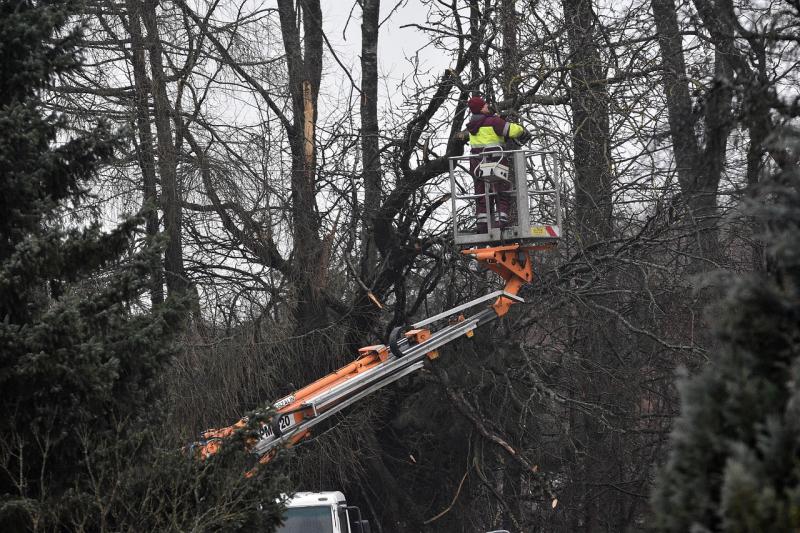 Storm Éowyn leaves around 15,000 Laois homes and businesses wihtout power as ESB website crashes