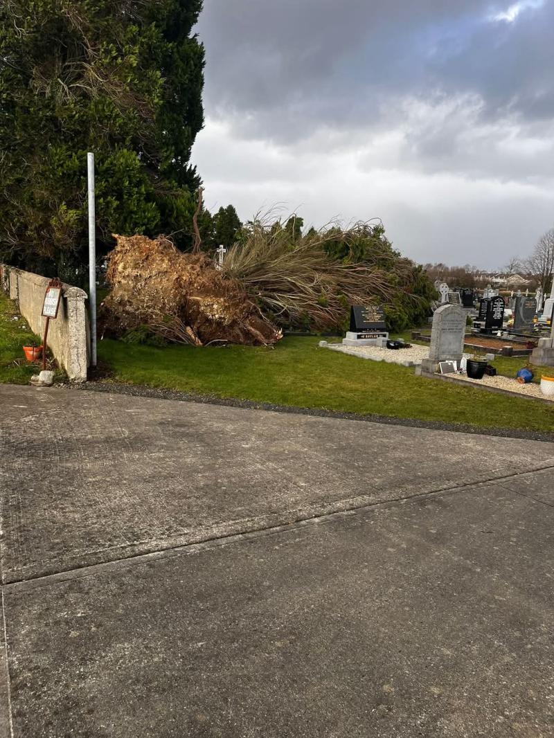 When will power be restored for over 100 Laois homes impacted by Storm Éowyn?