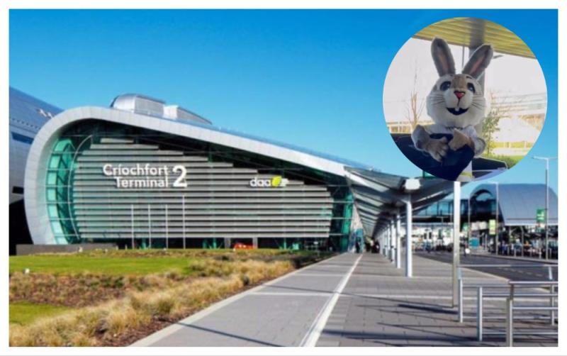Ah hare! Dublin Airport unveils new furry mascot with public called upon for names