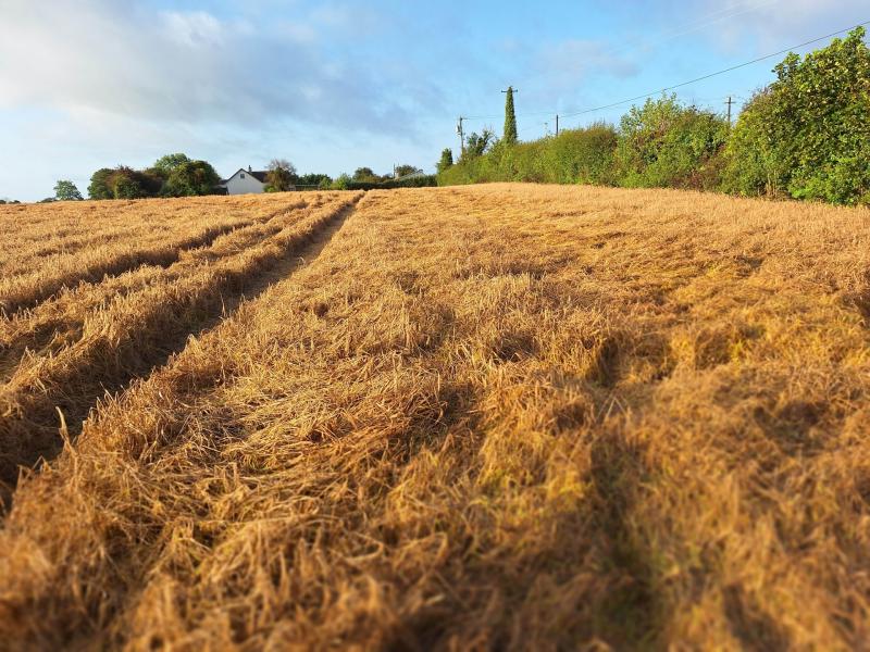 Emergency tillage crisis payment not yet paid out