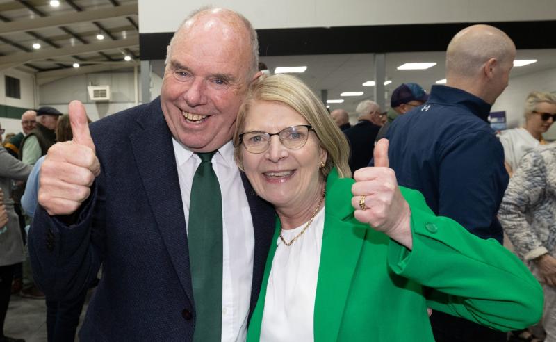 Laois Fianna F&aacute;il councillors demand social homes for higher earners