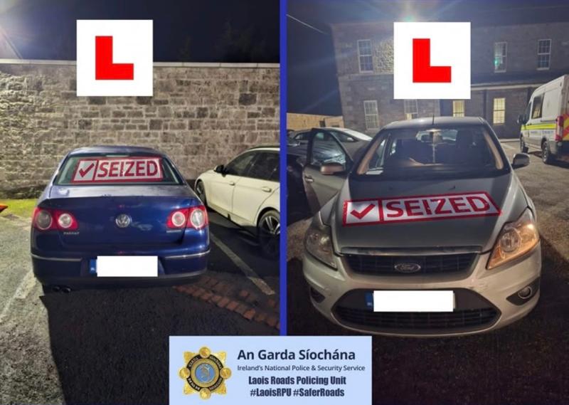 'Great to see'- Garda&iacute; applauded by community for seizing two cars in Laois 