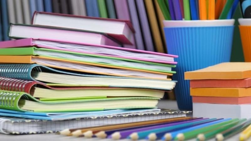 Two Laois schools awarded top-dollar bursaries for inclusive projects