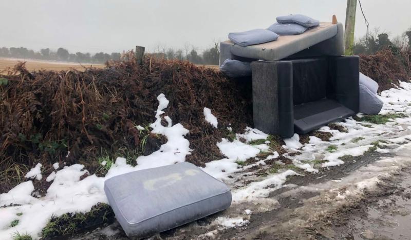 Waste contractor wanted in Laois to clean up illegally dumping