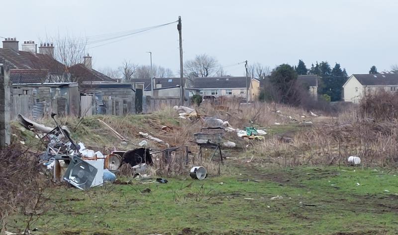 'Shocking' dumping on idle housing land in Portlaoise town