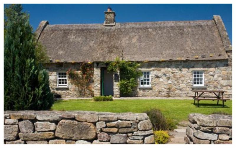 Join Our Team: Café Manager Wanted for Laois Community Café