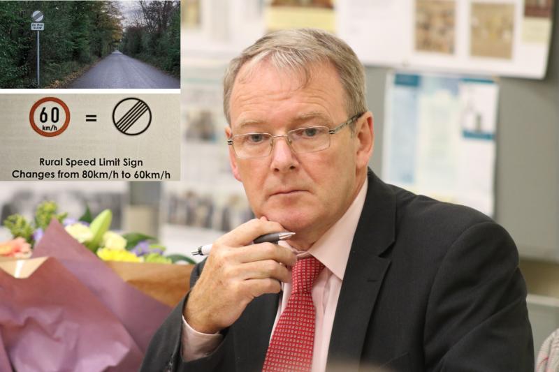 'Who was the genius who came up with the stripes?' Laois TD unimpressed with new speed signs