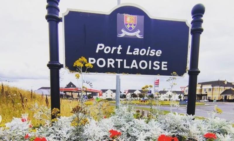 'My little farm has more biodiversity than the whole town of Portlaoise'