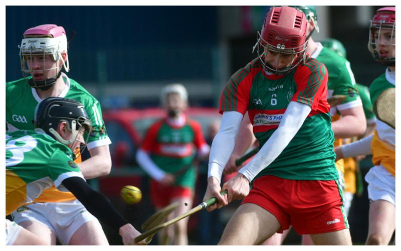 Screeney’s brilliance sinks St Fergal’s Rathdowney in Leinster Hurling final