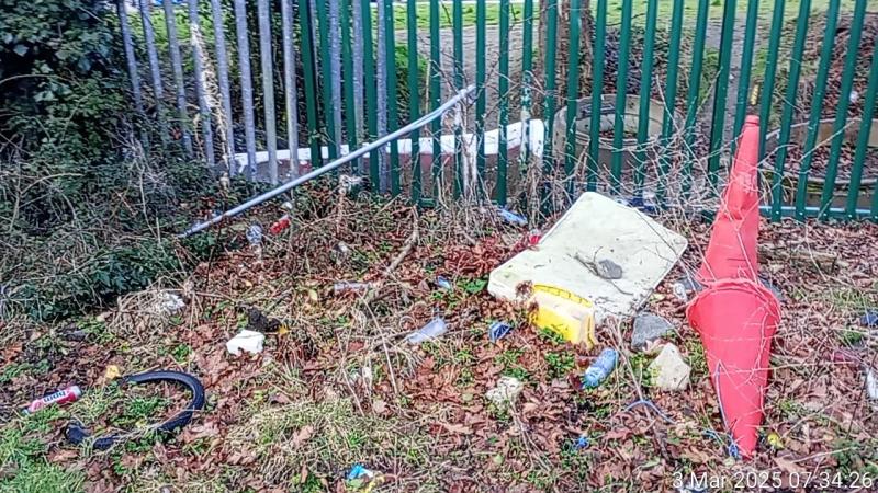 Illegal dumping in Laois housing estate reported to council authorities