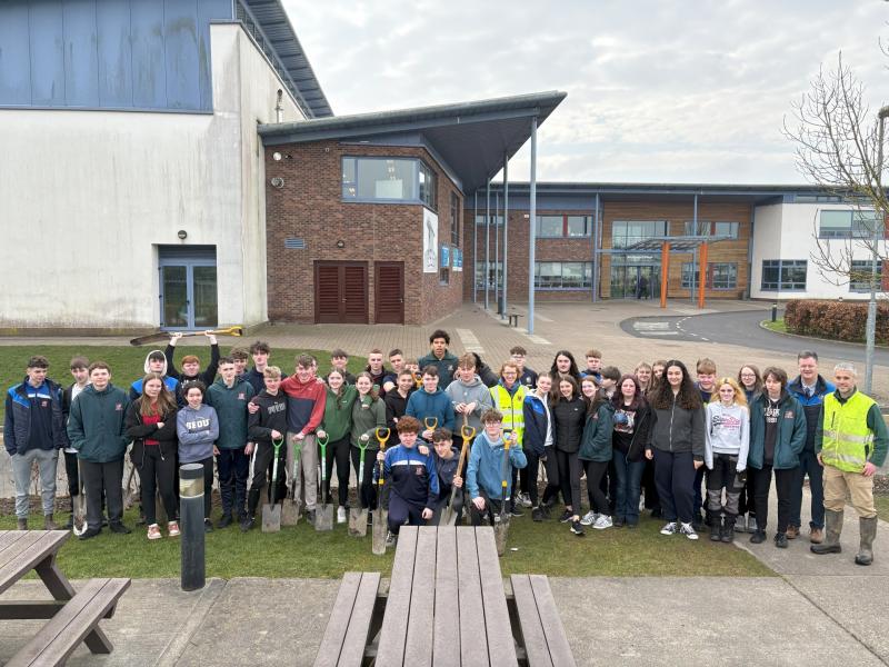 Laois students plant 185 trees in a single day