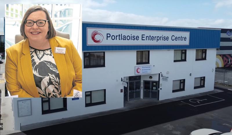 Laois remote workers not interested in paying for hotdesks - Laois business leader